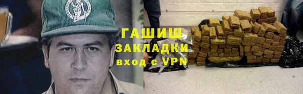 гашик Алексин