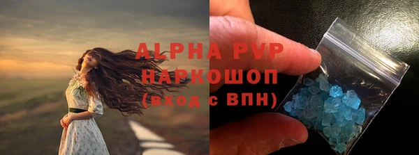 гашик Алексин