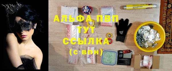 гашик Алексин