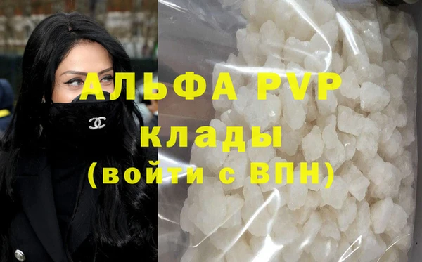 гашик Алексин